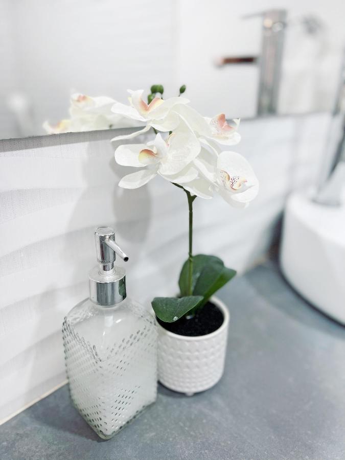Comunidad Calle 13 Hotel Boutique Santa Marta  Ngoại thất bức ảnh